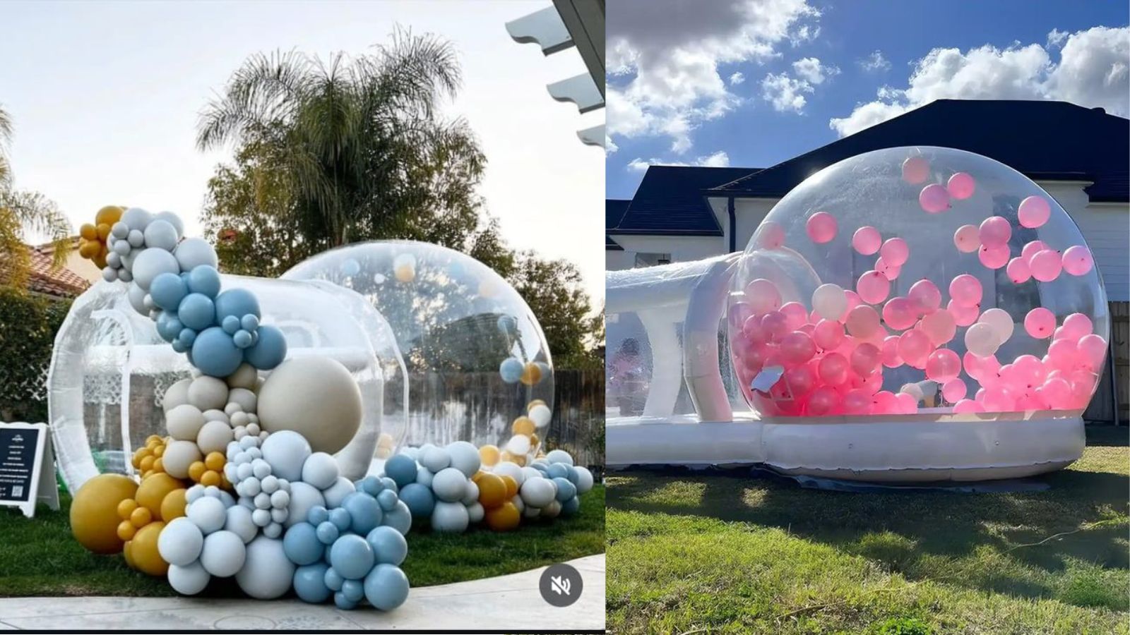 Single Bubble House